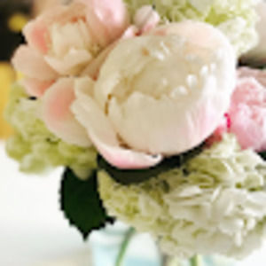 Meet your Posher, Holly